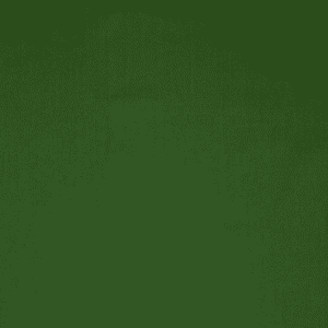 material textil poplin forest green